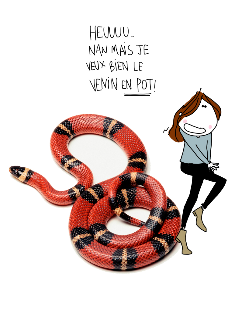 ELLE METTENT elle mettent: