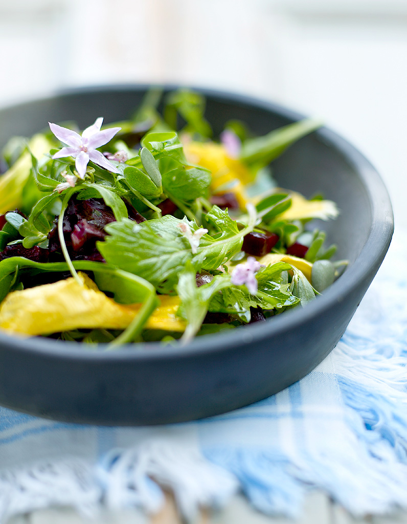Aliment peu calorique : le pourpier - Connaissez-vous les Aliment peu calorique : le pourpier - Connaissez-vous les
