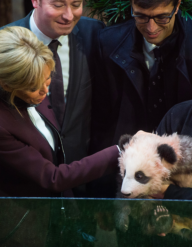 Zoo rencontre avec les animaux